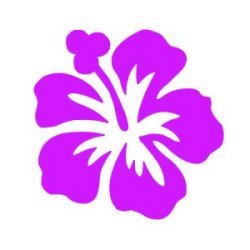  Appliqué Flex fleur hibiscus / 9 cm