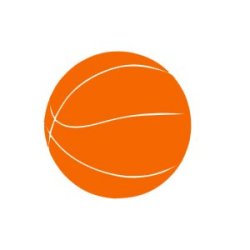 Appliqué Flex ballon basket / 9.5 cm