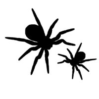 Appliqué Flex Halloween araignée 1 (lotde2) / 6 et 4 cm